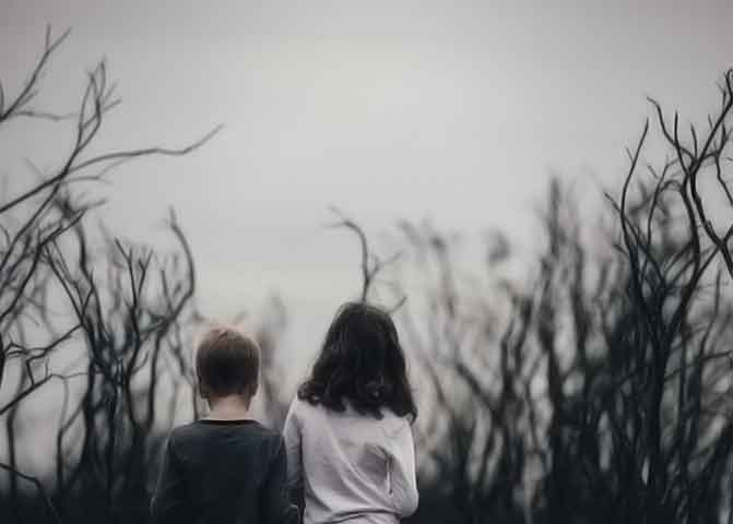 授权网站快速的器测压文章